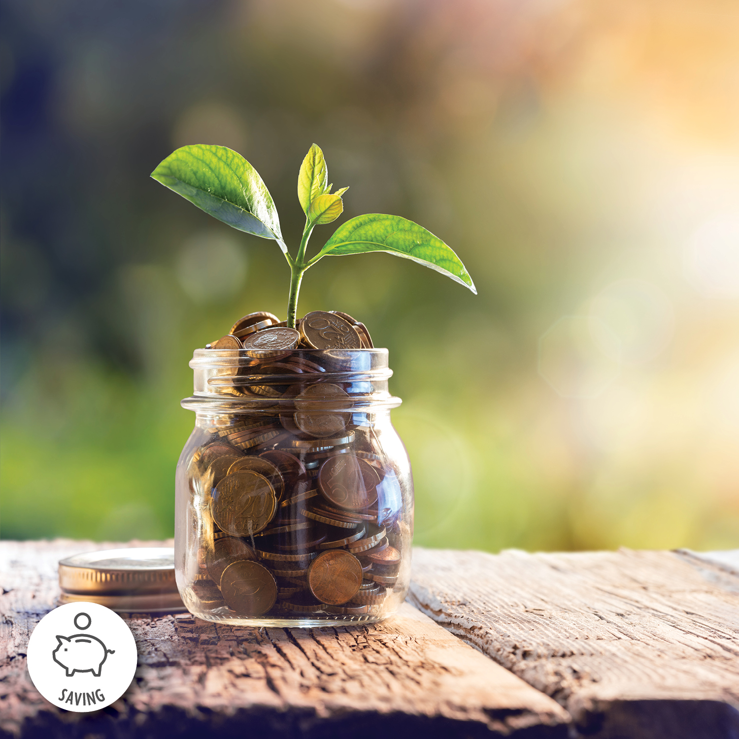 5 Ways to Spring Clean Your Savings