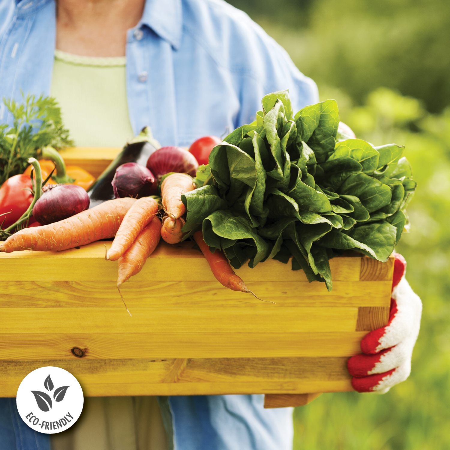 Affordable Sustainability: Going Organic on a Budget Affordable Sustainability: Going Organic on a Budget
