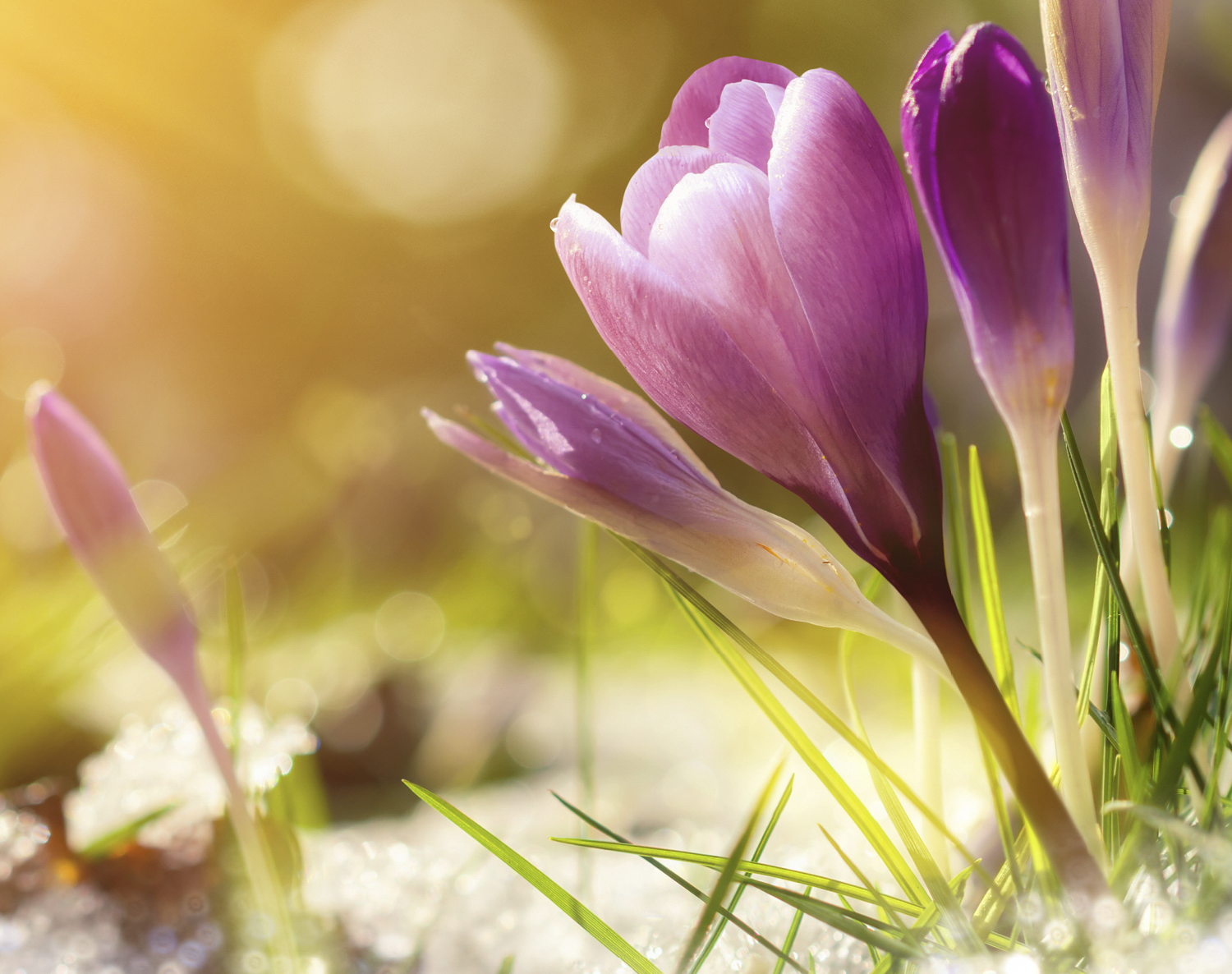 What to Buy and What to Skip in April