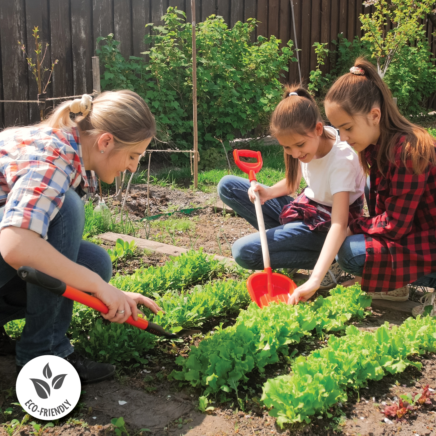 Affordable Sustainability: Grow Your Own Greens Affordable Sustainability: Grow Your Own Greens