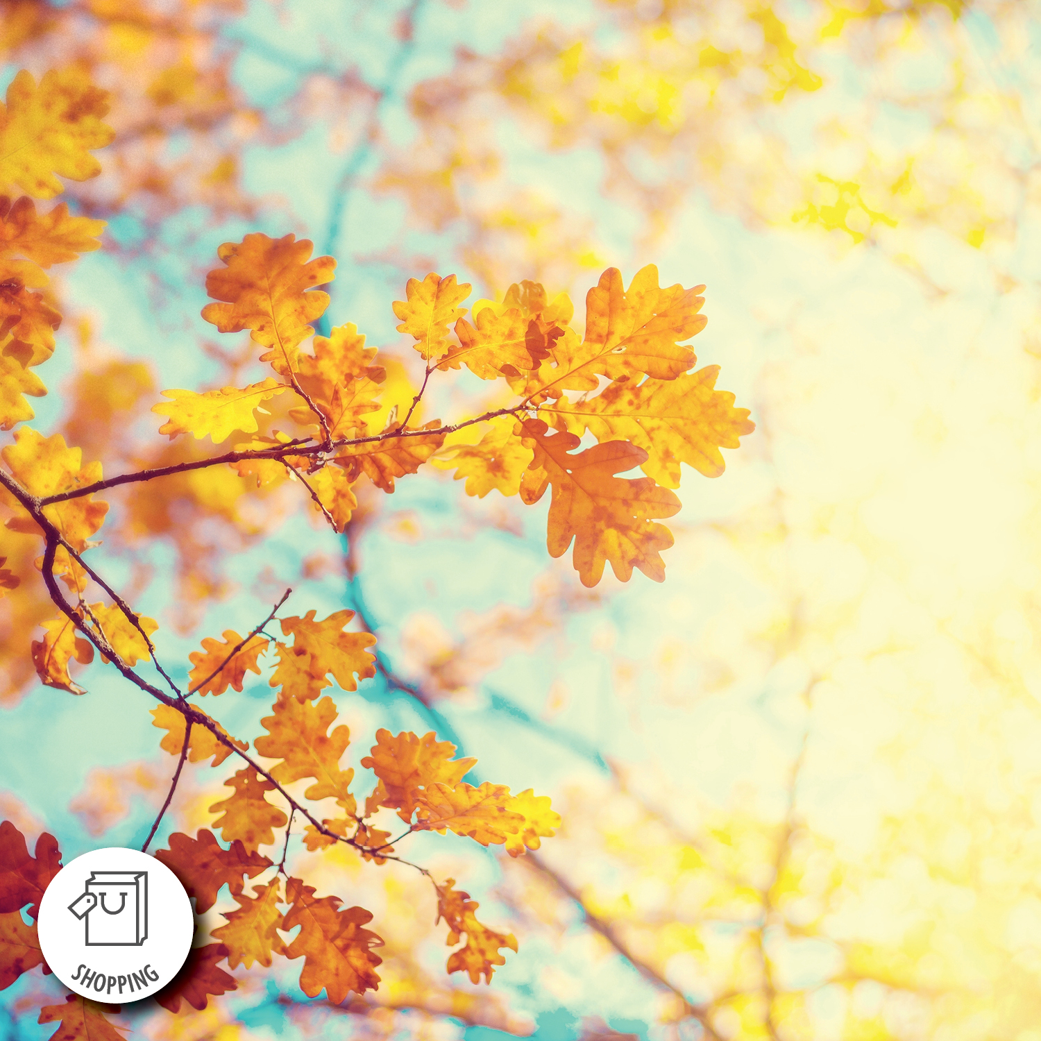 What to Buy and What to Skip in November
