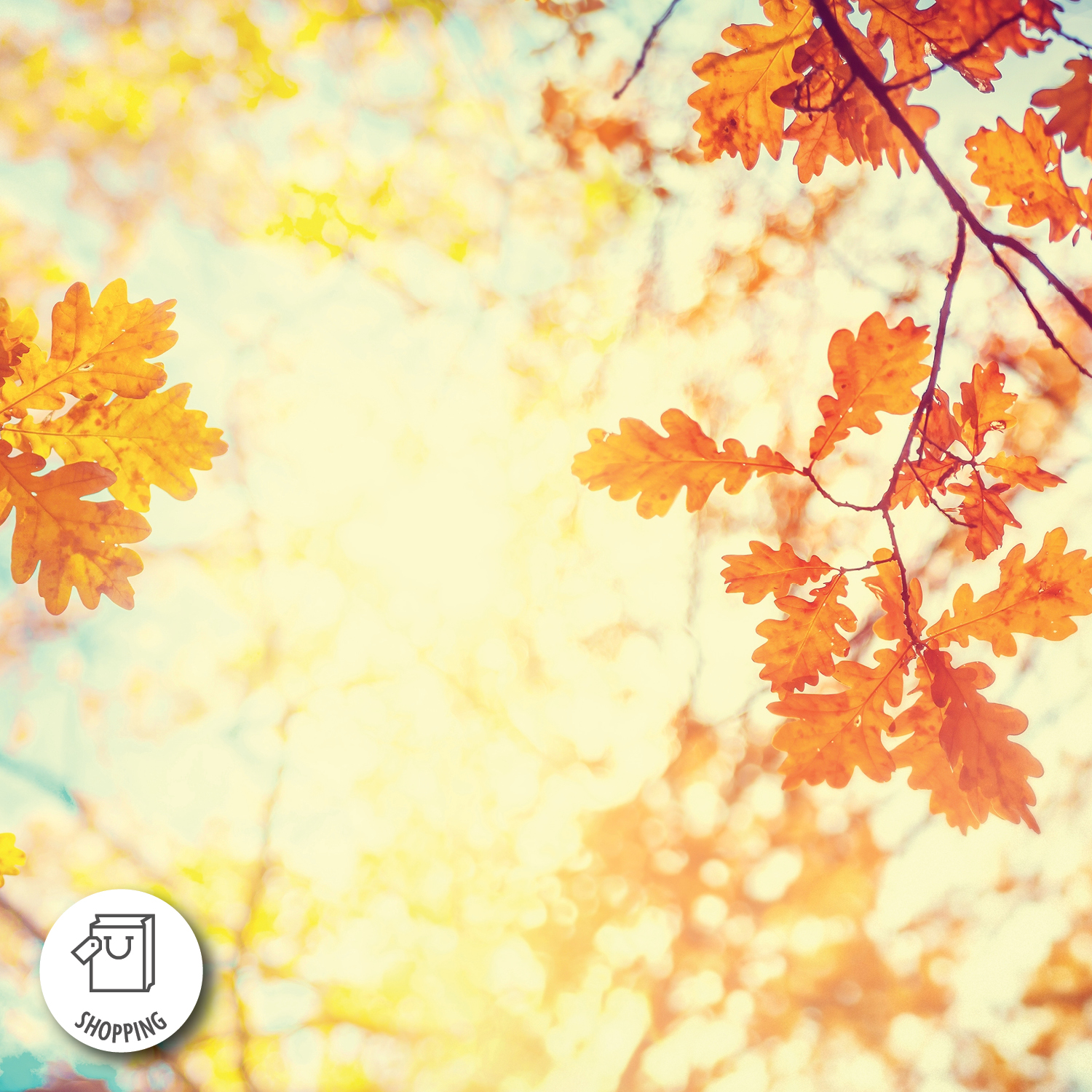 What to Buy and What to Skip in October