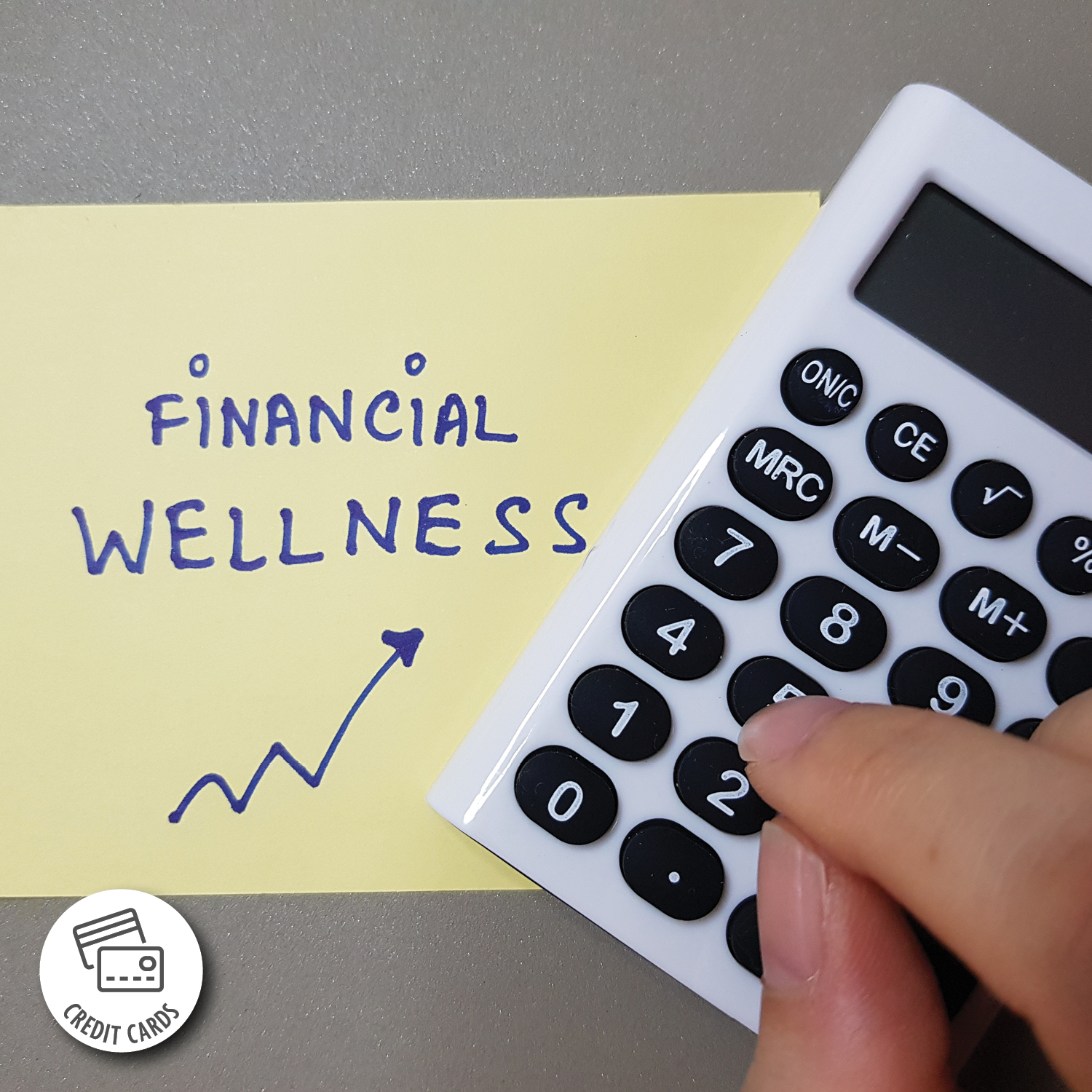 Step 9: Build and Maintain an Excellent Credit Score