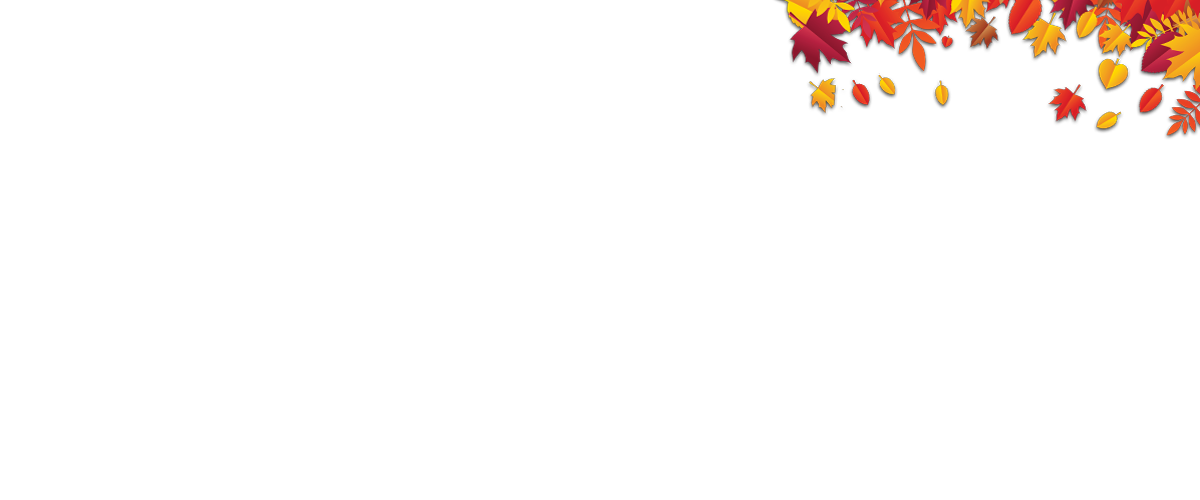 DVFCU_MOTORSPORTS_0007_Right-Leaves.png