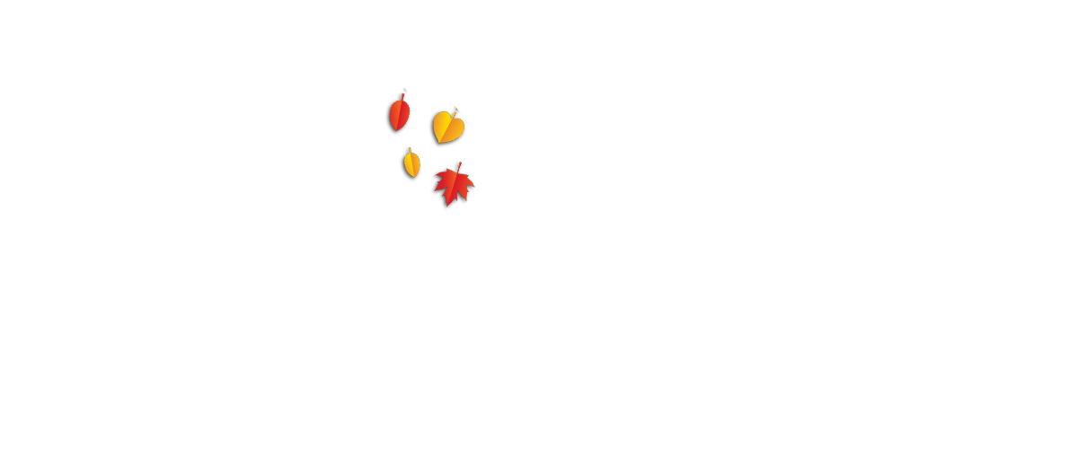 DVFCU_MOTORSPORTS_0008_FALL-LEAVES-copy-4.png