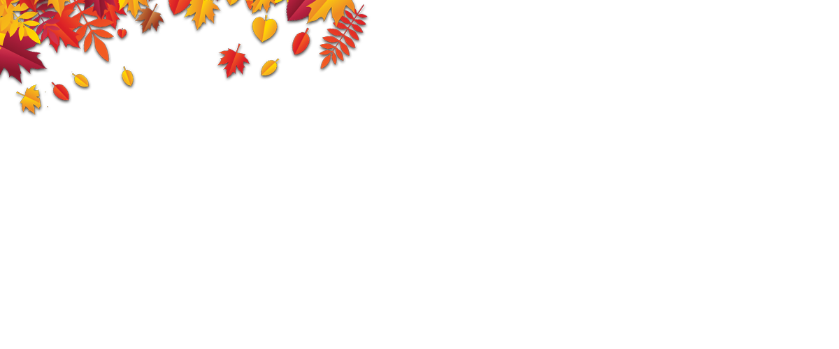DVFCU_MOTORSPORTS_0011_Left-Leaves.png