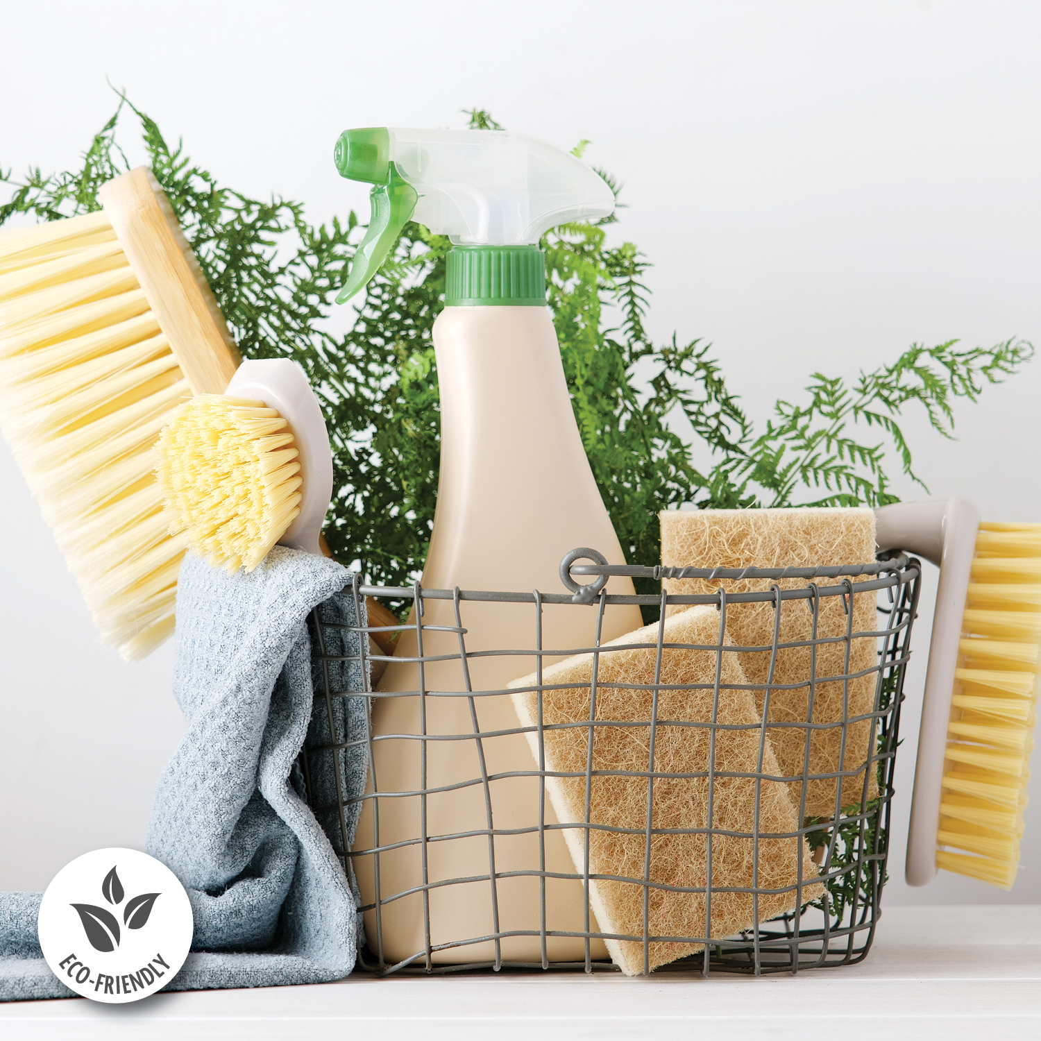 Affordable Sustainability - Green Cleaning Solutions for Your Home