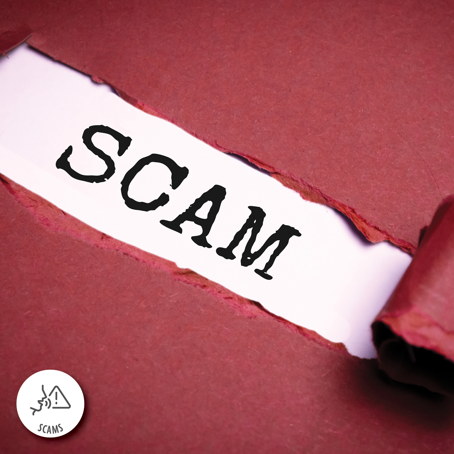 The U.S. Is the Most Scammed Country in the World The U.S. Is the Most Scammed Country in the World