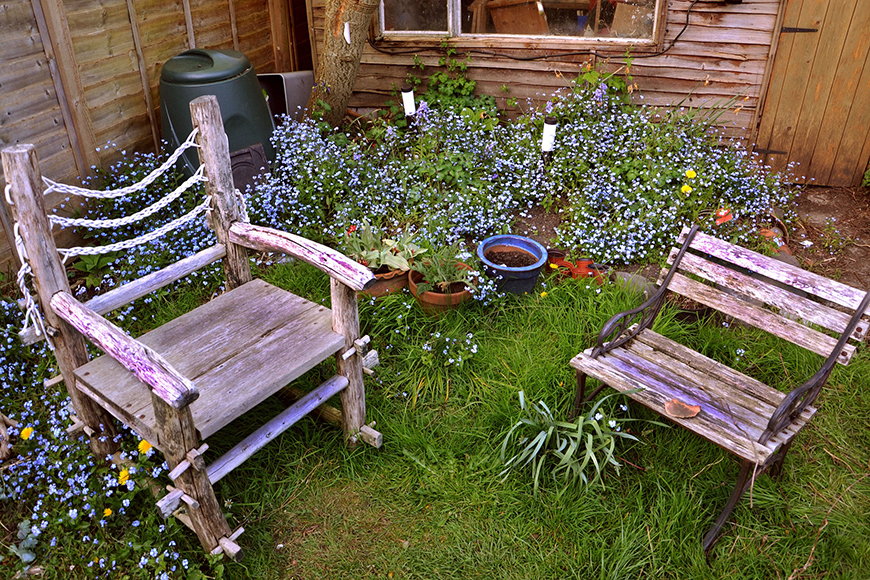 How to Turn Your Back Yard into an Oasis