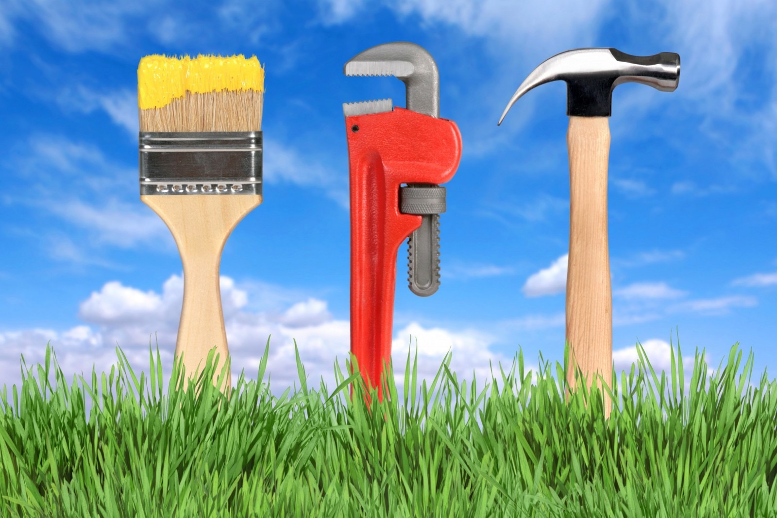 4 Home Improvement Projects with High Long-Term Return
