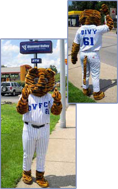 Divy The Tiger Mascot